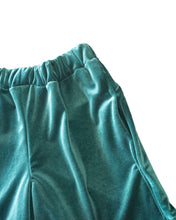 Load image into Gallery viewer, Velvet Hoopshorts (Emerald)