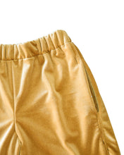 Load image into Gallery viewer, Velvet Hoopshorts (Gold)